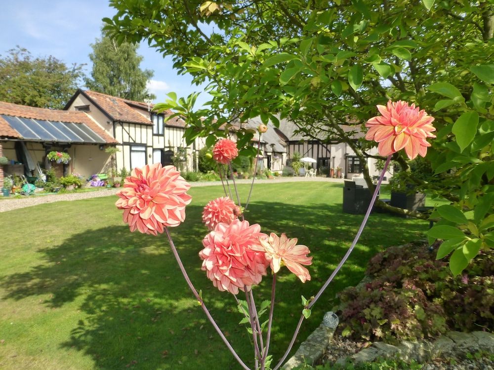 Greyhound Cottage 4 étoiles à Glemsford