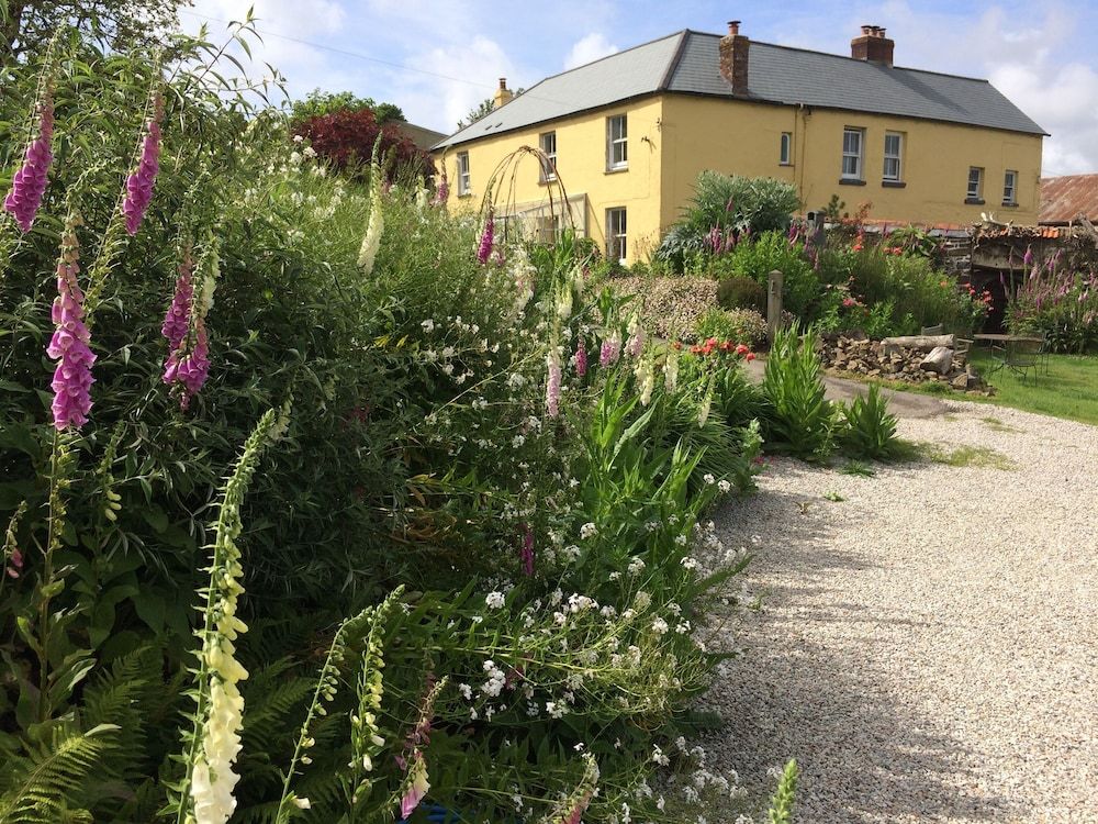 Frizenham Farmhouse B&B -1 étoiles à Little Torrington