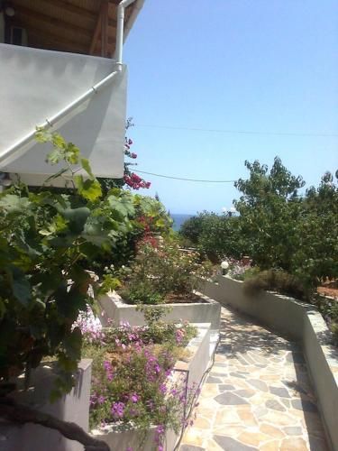 Villa Eliza 2