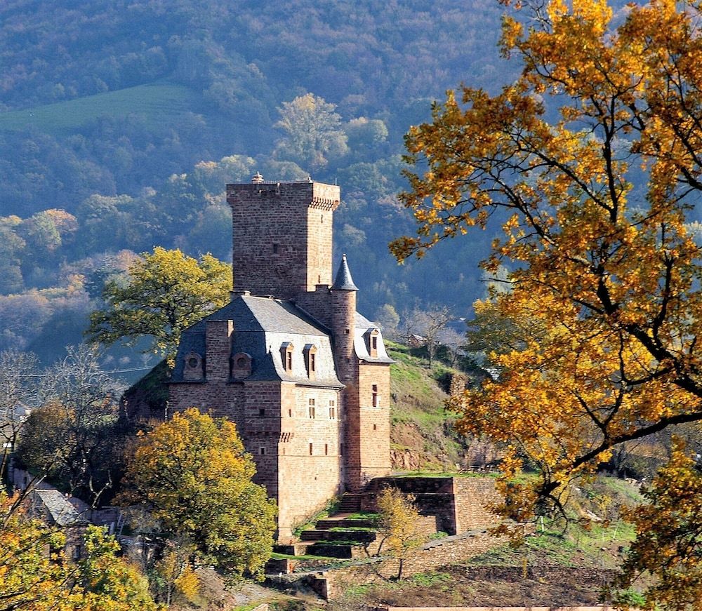 Chateau La Servayrie -1 étoiles à Marcillac-Vallon