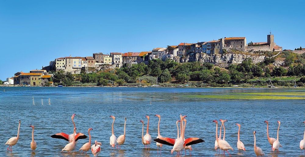La Lagune 4 estrellas en Bages