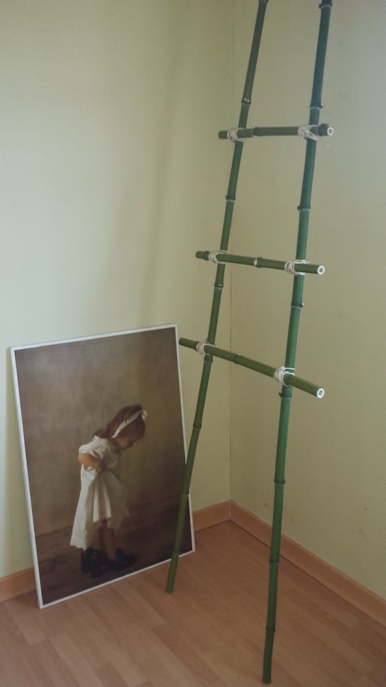Le Curieux 3