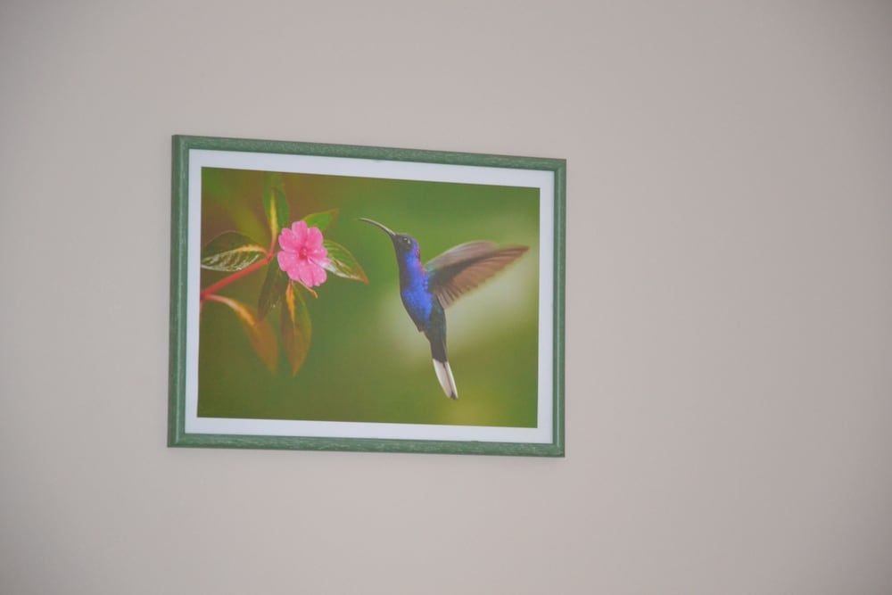 Le colibri bleu 3