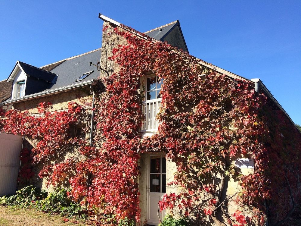 La Ferme du Grand Launay -1 étoiles à Semblançay