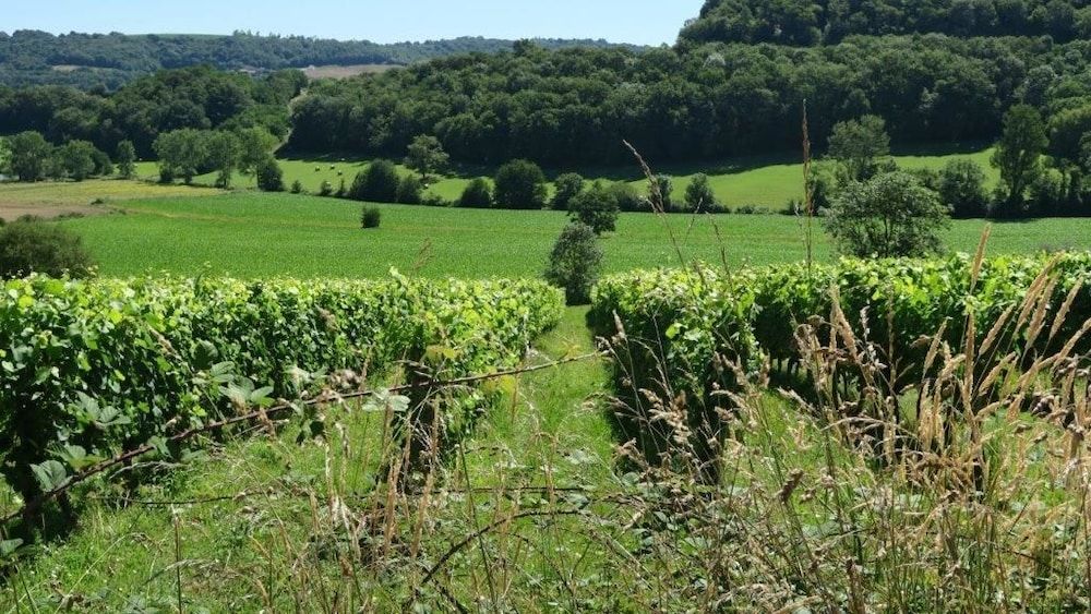 La Maison d'Amazone -1 étoiles à Mont-Disse
