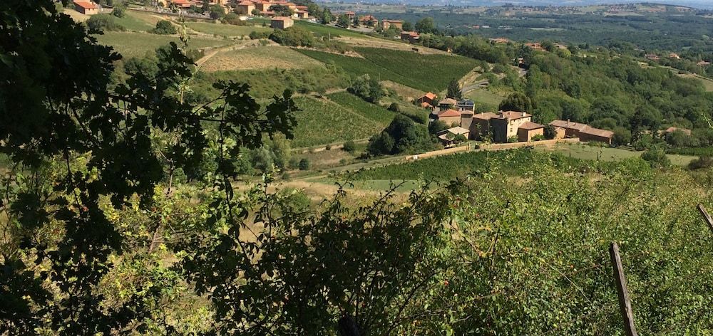 Le Clos des Fayettes 3