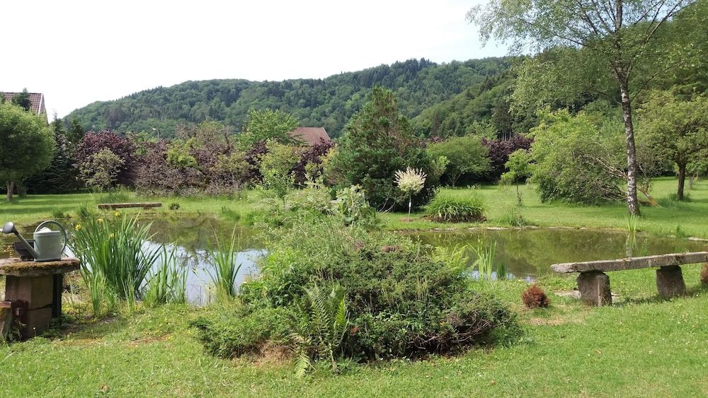 Au Pied des milles Étangs- LES CAPUCINS -1 étoiles à Faucogney-et-la-Mer