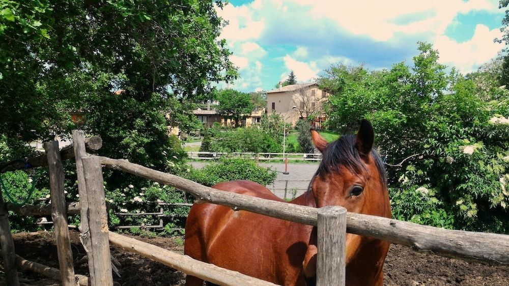 Agriturismo San Filippo -1 estrellas en Acquapendente