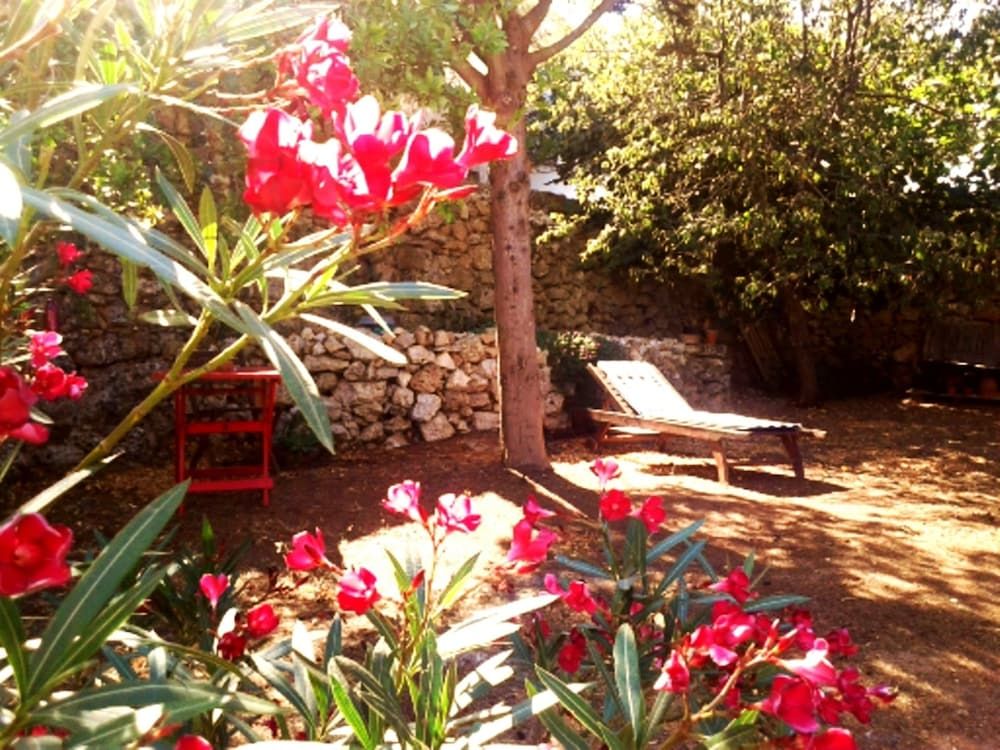 B&B Masseria delle rose 1760 -1 estrellas en Alessano