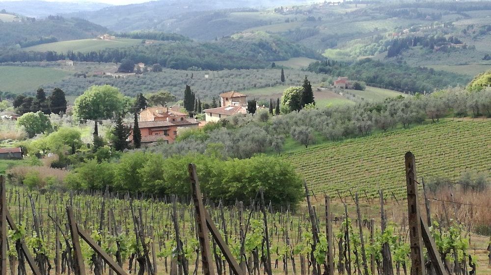 Agriturismo Podere La Cava -1 estrellas en Mercatale Val Di Pesa