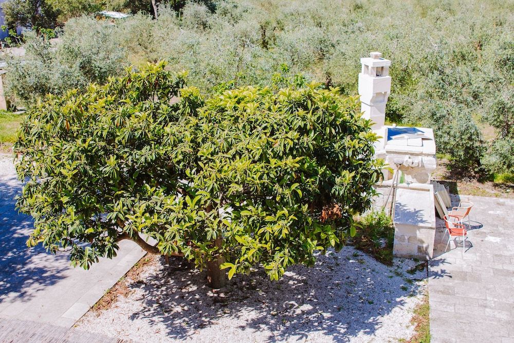 Agriturismo biologico Piccapane -1 estrellas en Cutrofiano