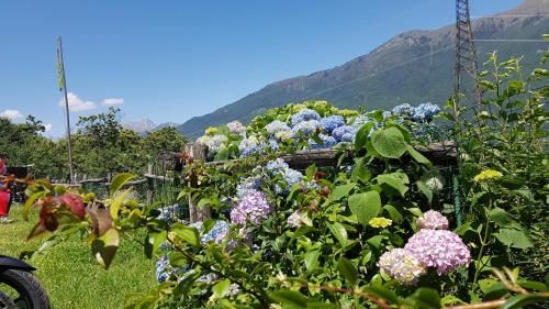 Agriturismo Volpe Golosa 3