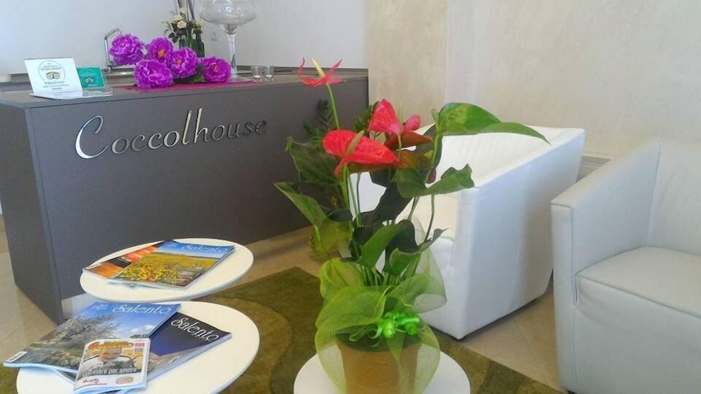 B&B Coccolhouse 2