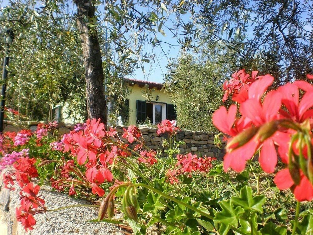 Agriturismo il Grande Ulivo -1 estrellas en Santo Stefano al Mare