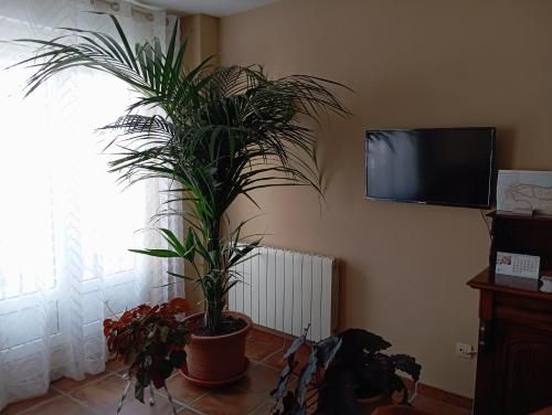 Hostal Santiago 3