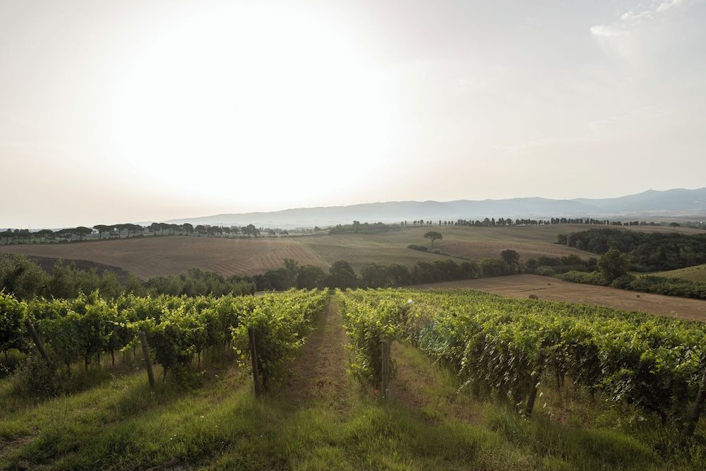 Agriturismo Cappellese -1 estrellas en Castelnuovo della Misericordia