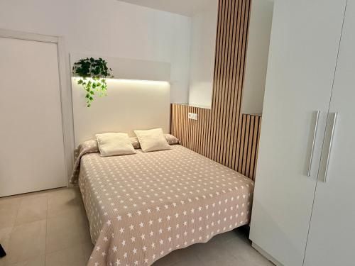 STUDIO Palomar - PalomarGroup 2