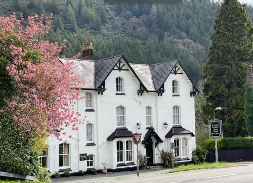 The Buckley Arms 3 estrellas en Dinas Mawddwy