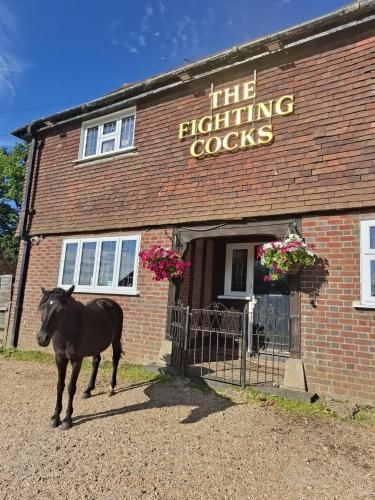 The FightingCocks 3