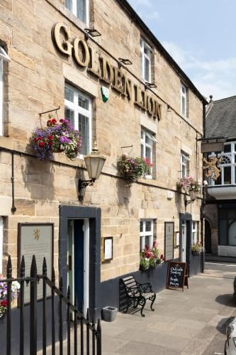 Golden Lion 2
