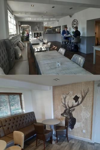 The Roebuck Alcester 3
