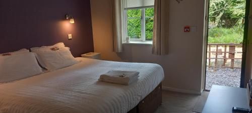 Aber Falls Hotel & Butterfly Rooms 2