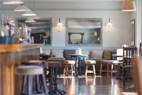 The Swan 3