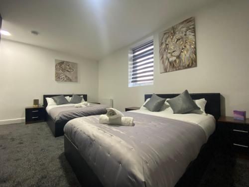BEST CHOICE - Hotel Royal 3