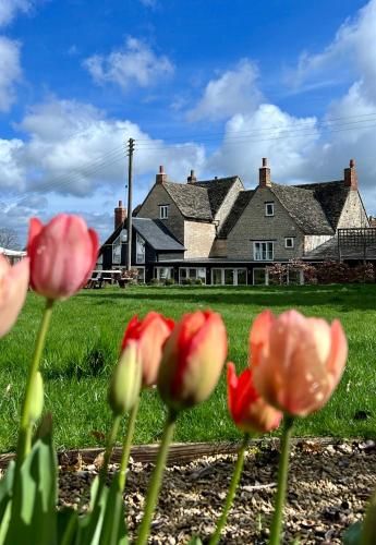 The Lion, Tredington 2