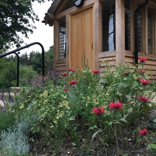 South Downs Eco Lodge & Camping 3 estrellas en East Meon