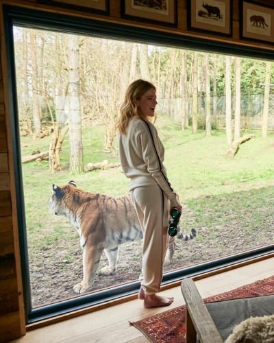 Tiger Lodge - At Port Lympne Hotel & Reserve -1 estrelas em Lympne