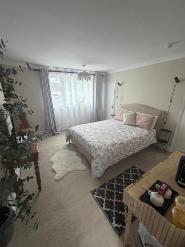 Imaginarium rooms 1