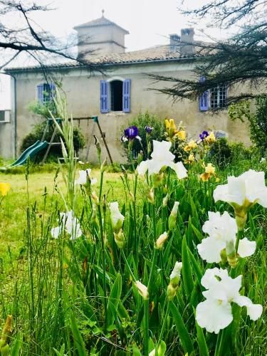 Domaine Mas Pigné -1 estrelas em Sauve