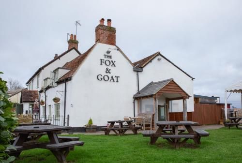 Fox and Goat 3