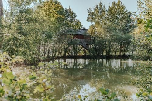 cabanes perchees dans les arbres -1 estrellas en Capdrot
