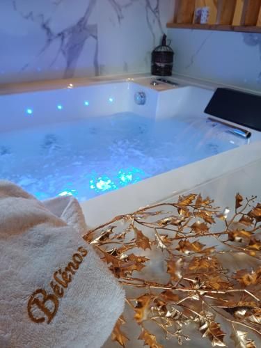 Bélénos - Suites & Spa -1 estrellas en Bligny-sur-Ouche