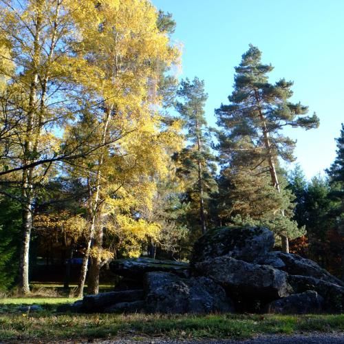 Ecoparc Des Monédières 3