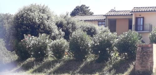 Scacco Matto 3