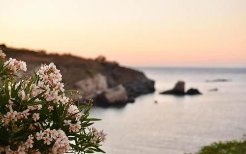 Elefthia Syros - Luxury Houses & Suites -1 estrellas en Megas Yialos-Nites