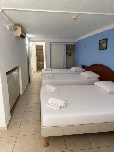 Hôtel Le Robinson 2
