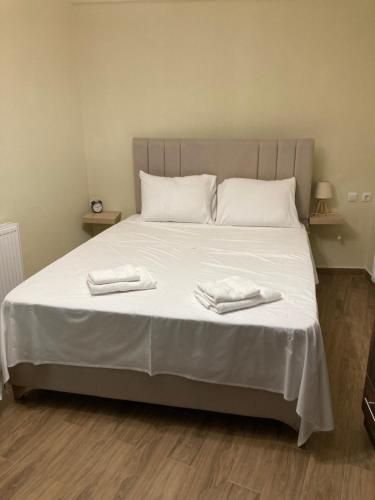 HOTEL ΗΩ (ΞΕΝΩΝΑΣ ΤΣΙΑΧΡΗΣ) 2