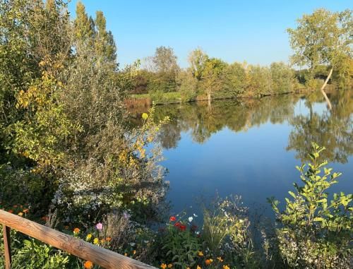 L'ile chaumette 2