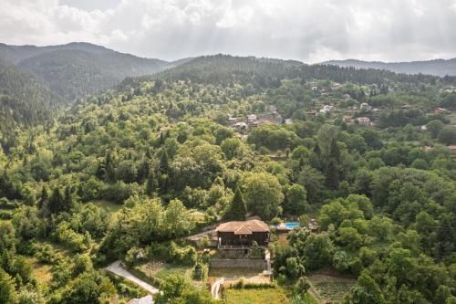 Yliessa Chalet 3