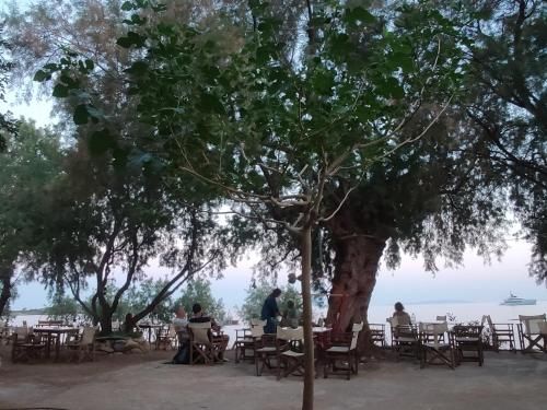 Georgoshouse Lykos beach Sfakia 3