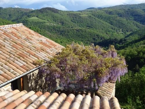 Gîte de Chapelèche Les Glycines 3