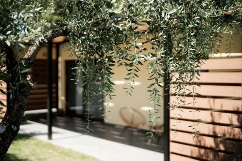 Meraki luxury bungalows 3