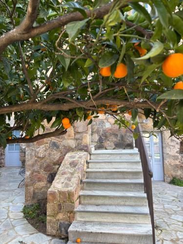 L'Hostal de Piaghja 2