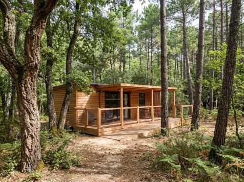 La forêt PALOMA, Ecolodge 3