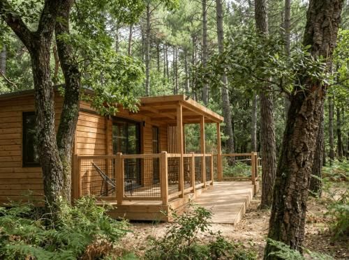 La forêt PALOMA, Ecolodge 2