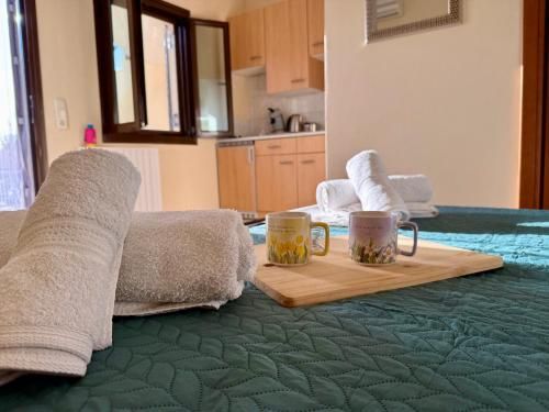 Sun Thavma Living studio psiloritis 2